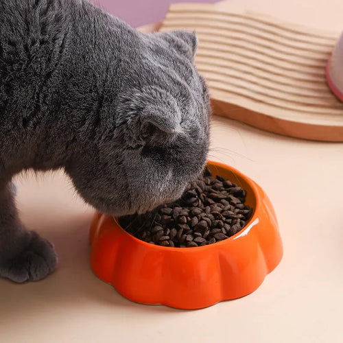 Katzennapf im Fruchtdesign